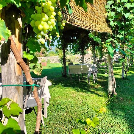 Badia Giulia Prestigious Historical B&B, Camaiore - Adults Only - No Pets المظهر الخارجي الصورة